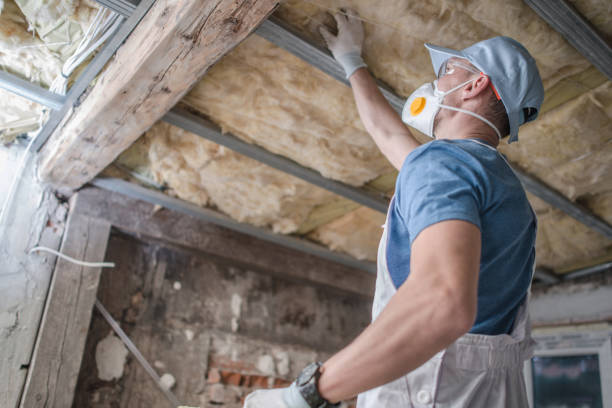 Best Insulation for New Construction  in Worthington, MN