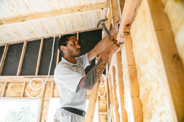 Best Insulation Contractors for Homes  in Worthington, MN